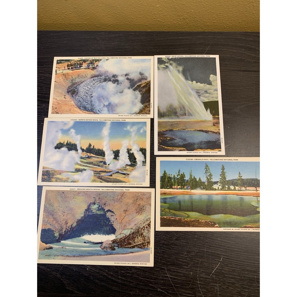 Vintage Lot of 5 Hayes Studio Linen Yellowstone National Park Wyoming Postcards